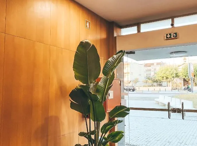 酒店 玛尔阿祖尔酒店